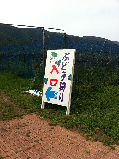 Ԃǂ