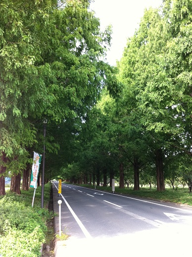 Lȃ^ZRCA